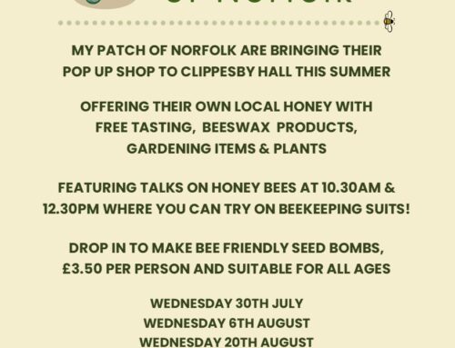 Honey Bee Workshop & Pop Up Shop