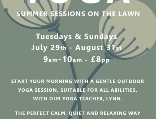 Summer Yoga Sessions