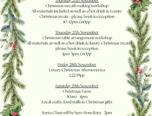 Christmas comes to Clippesby…